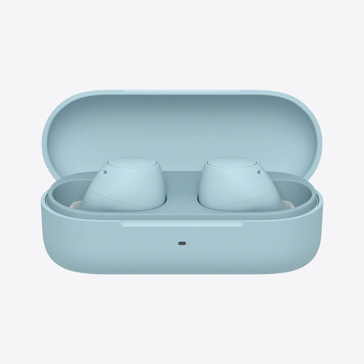 Dynamic Ears Cushions